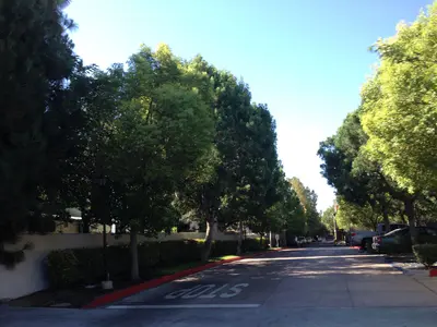 Northridge, Los Angeles, CA, USA - panoramio (120)