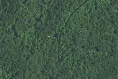 Camp site