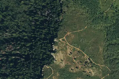 Camp site