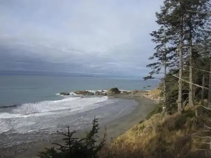 A sandy beach meets the Pacific Ocean at Kalaloch Campground as evergreen trees rise on the bluff above. A small, rocky point juts out into the ocean further along the coast.