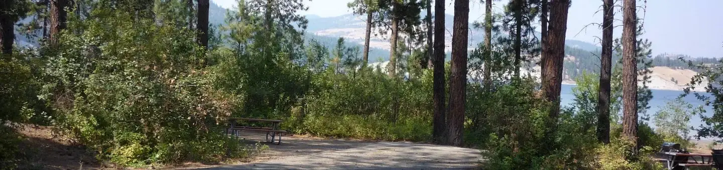 Overlooking the lake