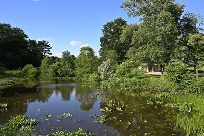College Gardens Park pond Rockville MD 2022-06-09 17-53-43 1