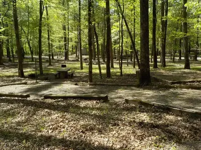 Campsite