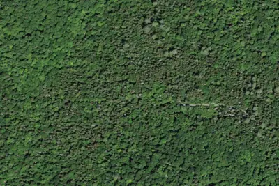 Site 5