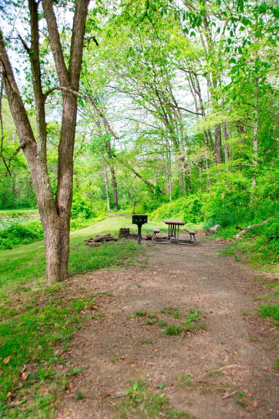 Potomac Forks Hiker-Biker Campsite