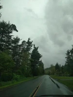 Late spring 2016 - panoramio (71)