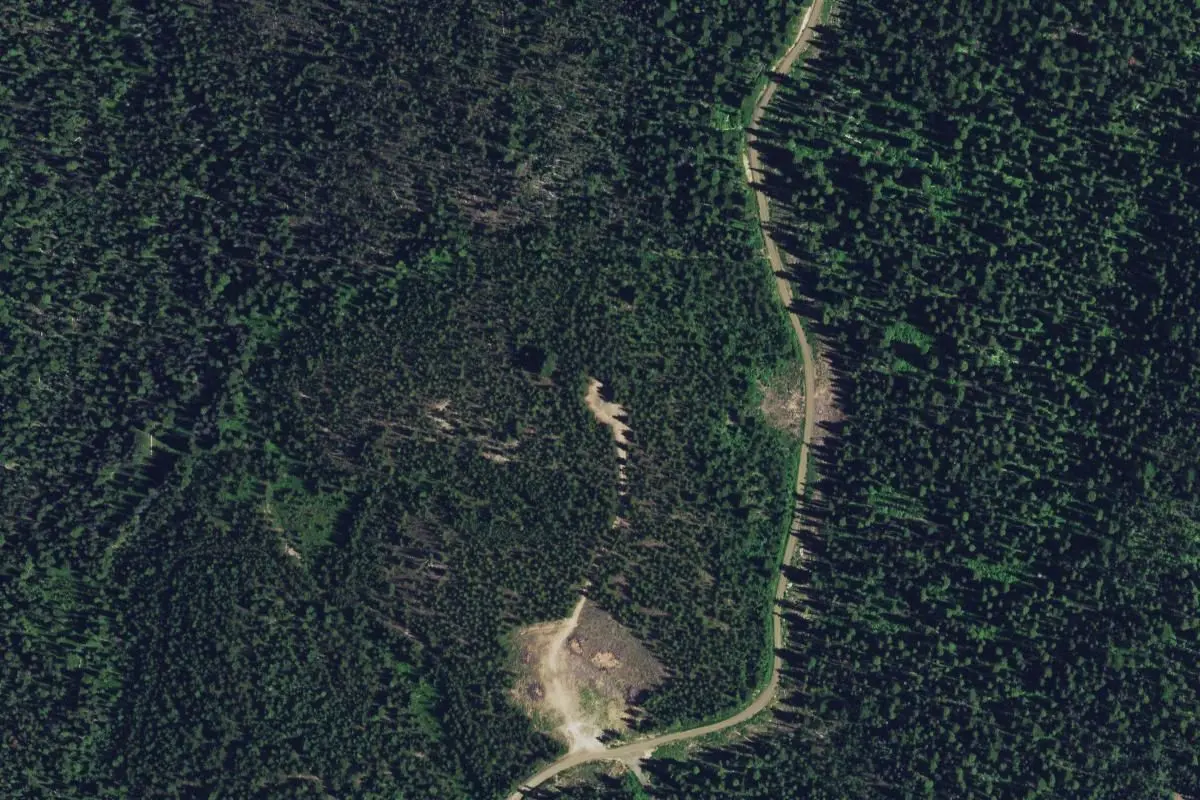 Aerial view