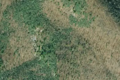 Camp site