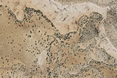 Camp site