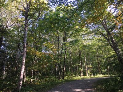 2017-09-11 09 16 45 View east along the CCC Road at about 2,120 feet above sea level on the western slopes of Mount Mansfield within Mount Mansfield State Forest in Underhill, Chittenden County, Vermont