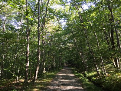 2017-09-11 09 18 01 View east along the CCC Road at about 2,220 feet above sea level on the western slopes of Mount Mansfield within Mount Mansfield State Forest in Underhill, Chittenden County, Vermont