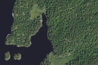Camp site (Superior National Forest)