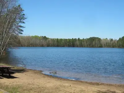 Photo of Morgan Lake Campground and Group Site