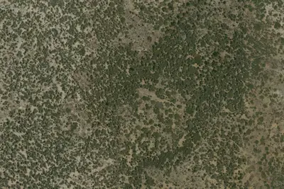 Camp site