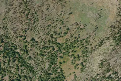 Lower Glade Camp