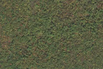 Camp site