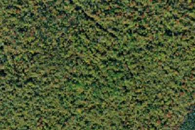 Camp site