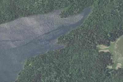 Camp site