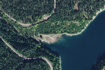 Forest Dispersed Camp East