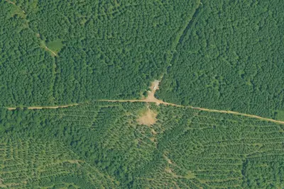 Camp site