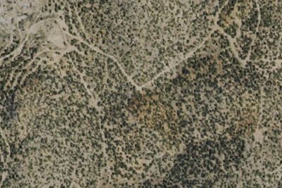 Camp site