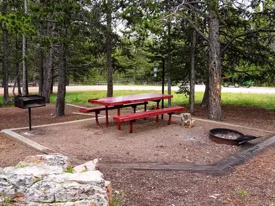 Campground in wooded area