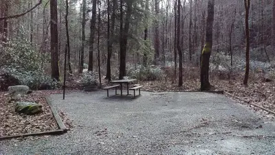Campsite #7