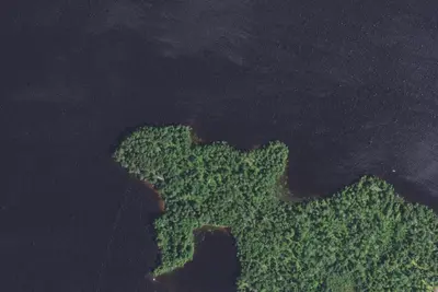 Birch Lake Site 12