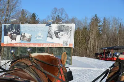 Elk Viewing Sleigh Ride - Thunder Bay Resort, Hillman MI (25294573111)