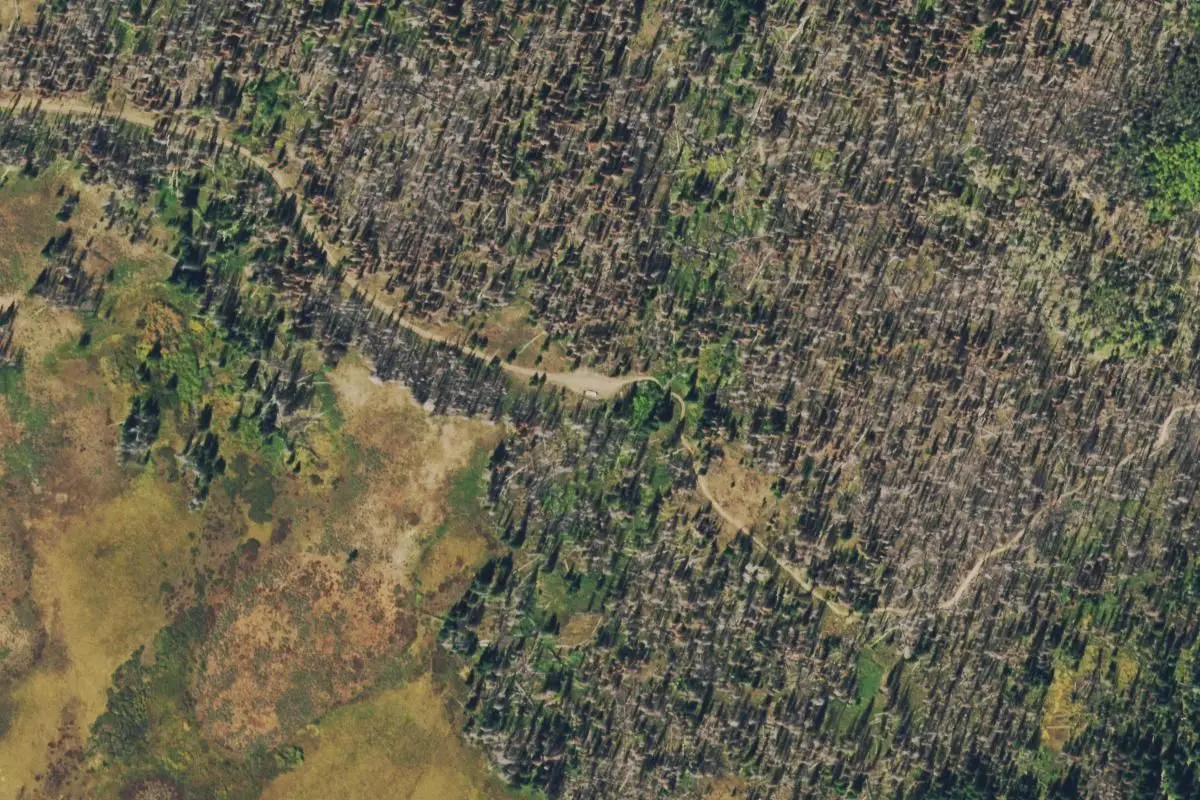 Aerial view