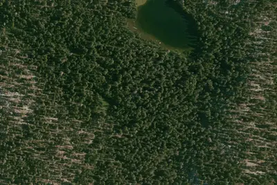 Mallard Lake