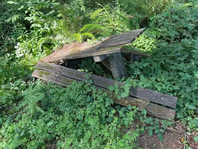 Old picnic table at Maytown Rest Area