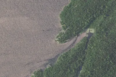 Camp site