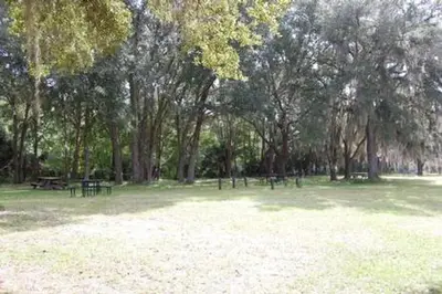 River Forest Group Site