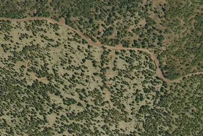 Camp site