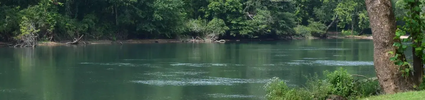 View of Current River from Float Camp Picnic Area