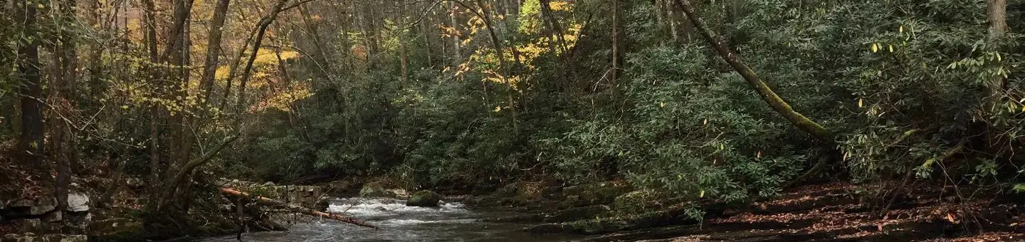 Beaverdam Creek at Backbone Rock Campground