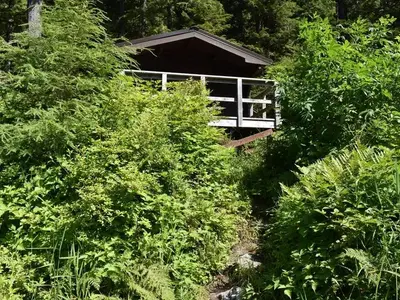 Reflection Lake Cabin