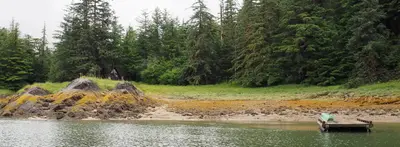 Berg Bay Cabin