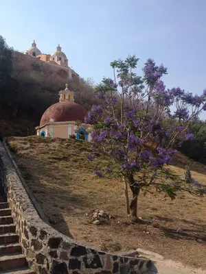 Costado de la Pirámide de Cholula