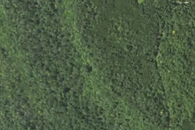 Camp site