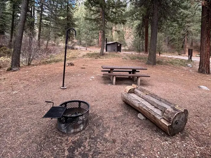 Campsite with fire ring, picnic table, and lantern hook.