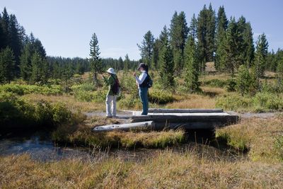 Small creek on trail (3943873741)