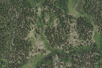 Shoshone Meadows (8G1)
