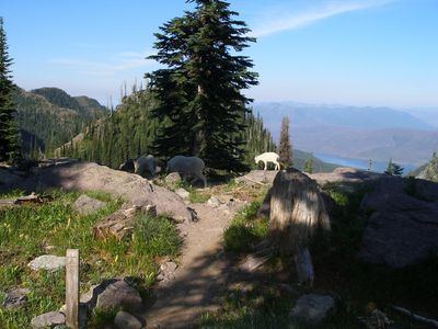 Sperry Backcountry Campsite looking west towards Lake McDonald, July 22, 2007 - panoramio