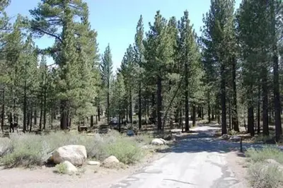 New Shady Rest Campground