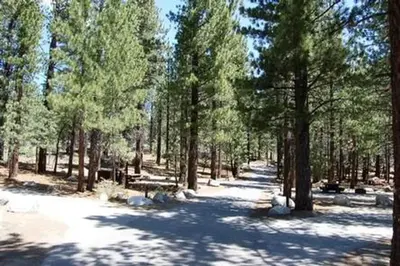 New Shady Rest Campground