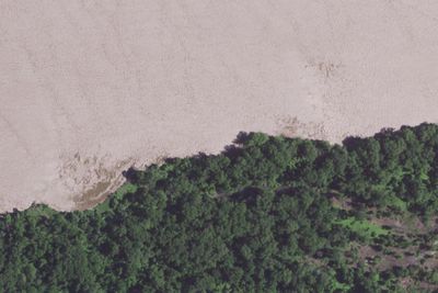 Oriole Island