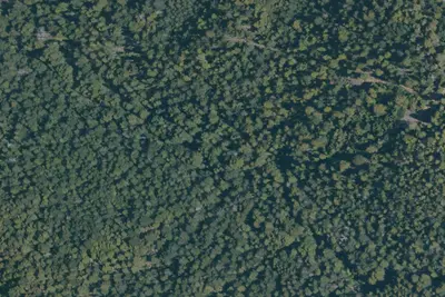 Camp site