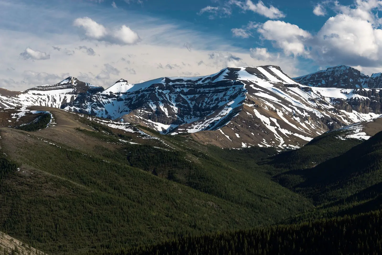 Photo of Whitehorse Wildland Provincial Park